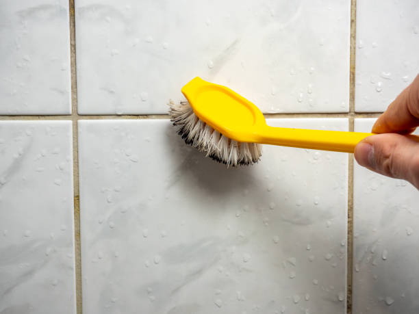 Best Black Mold Removal  in Linntown, PA