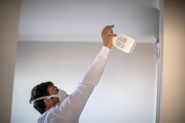 Best Office Mold Removal Services  in Linntown, PA