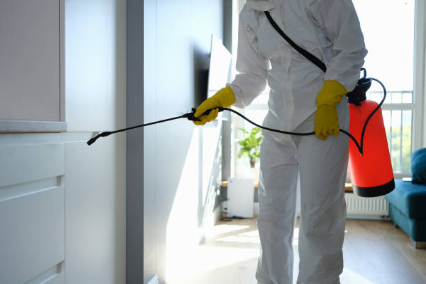 Best Certified Mold Removal  in Linntown, PA