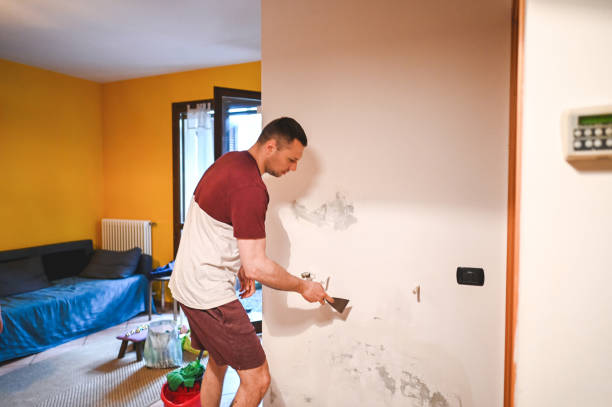 Professional Mold Removal in Linntown, PA